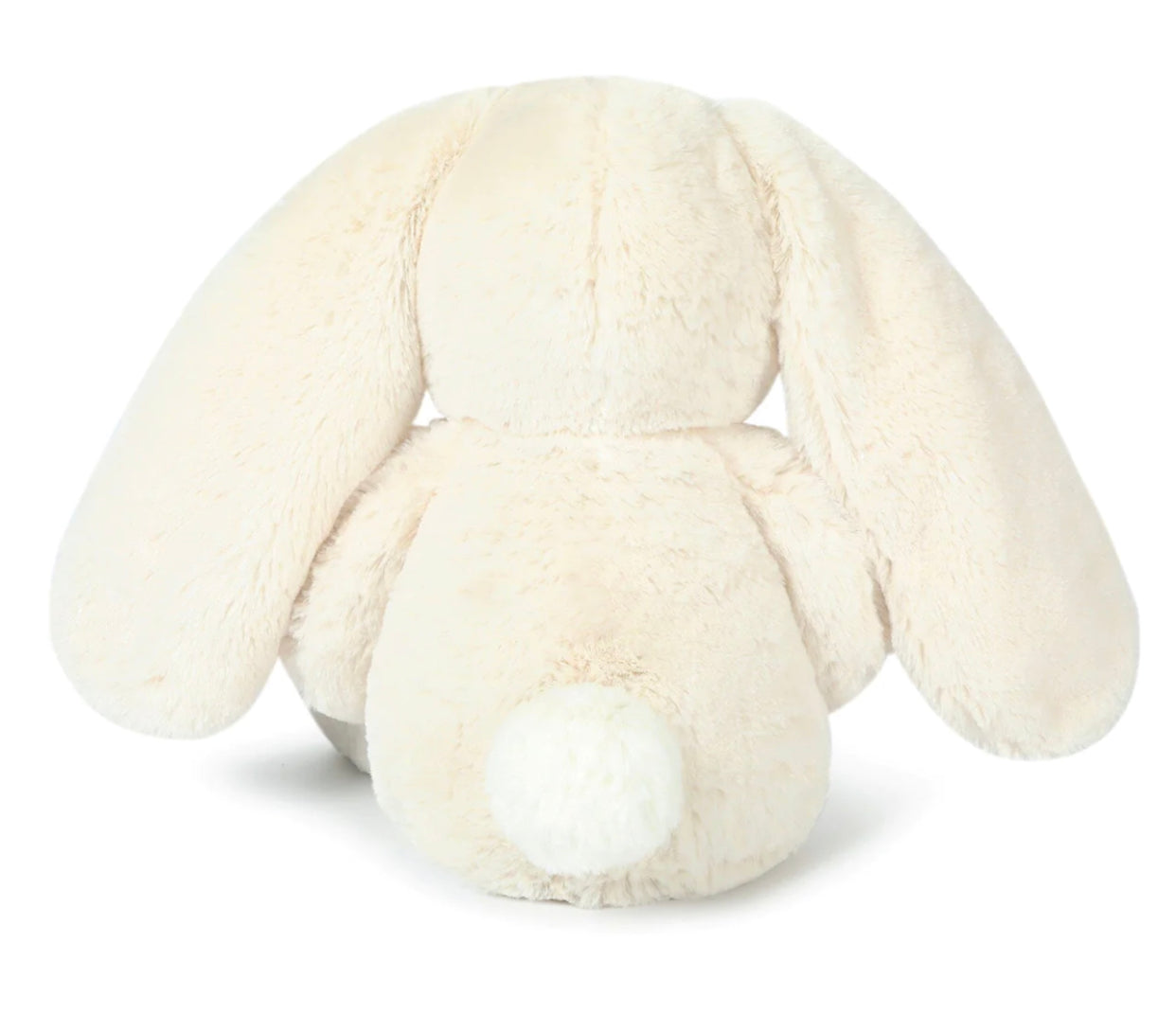 Ziggy Bunny | Oatmeal