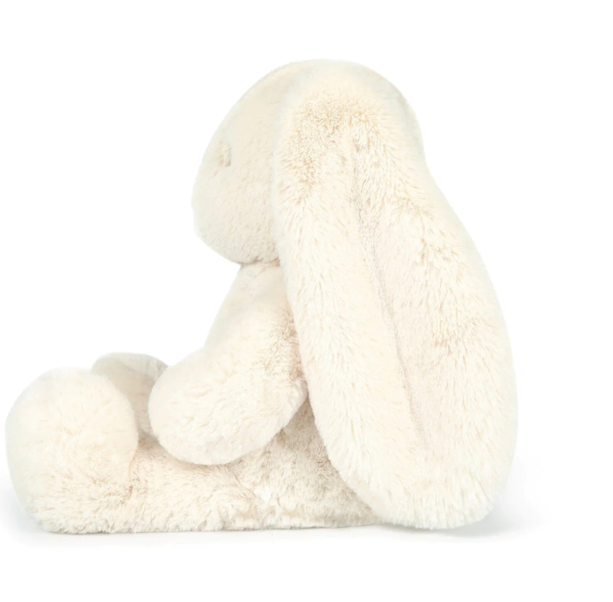 Ziggy Bunny | Oatmeal