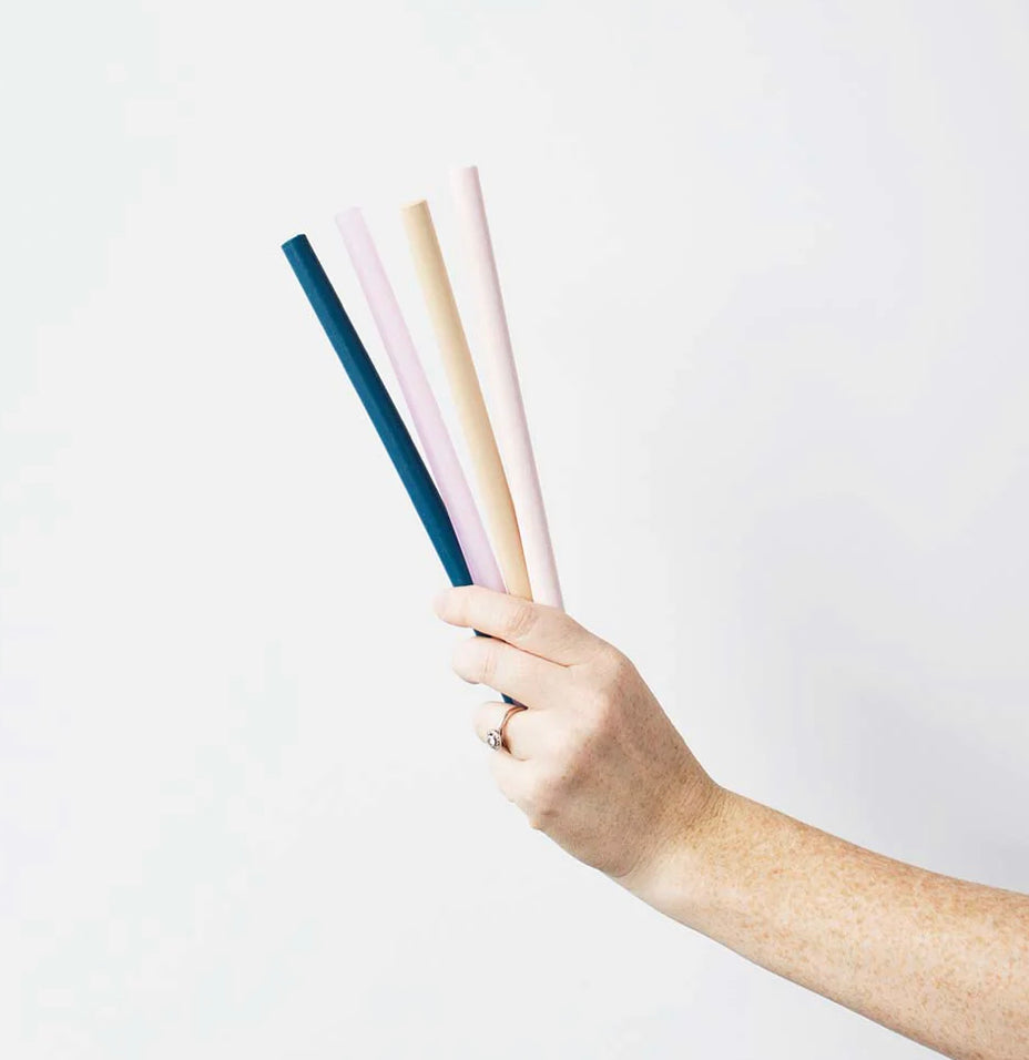 COLOURED STRAWS (4 pack)