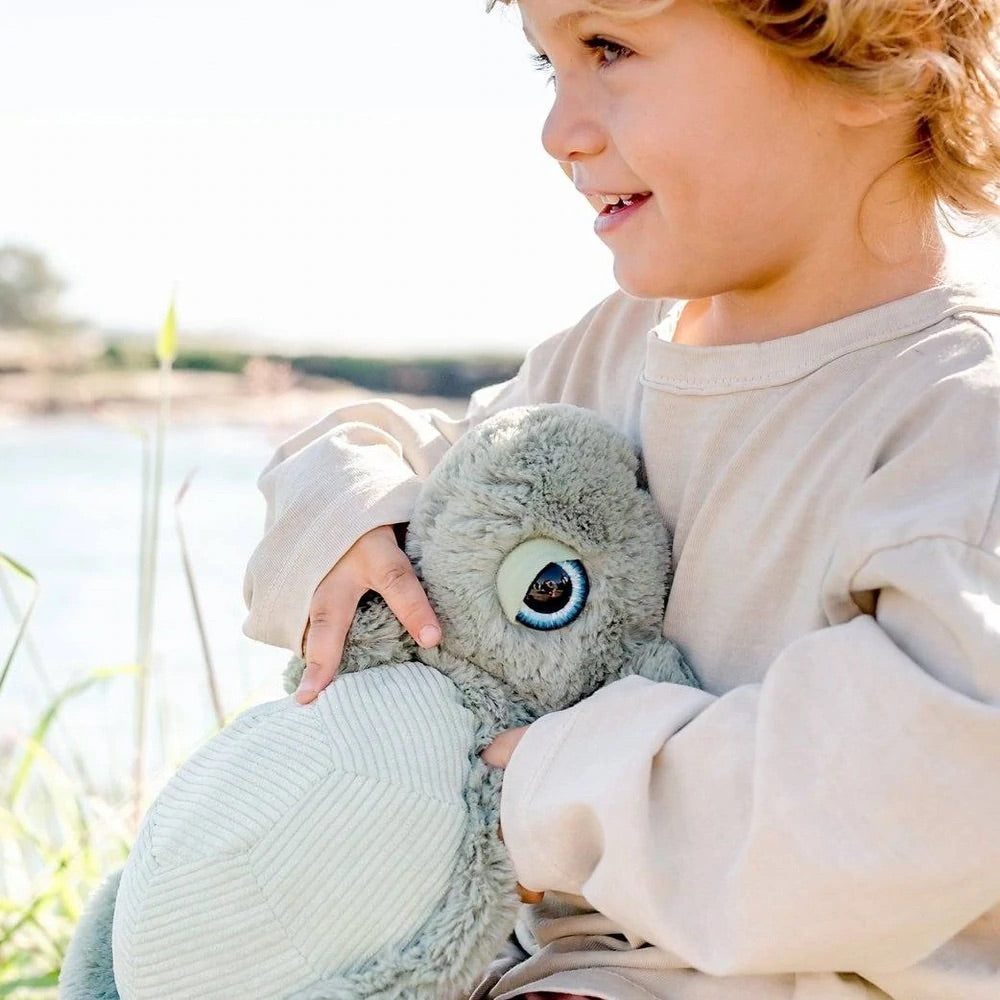 Turtle Softy - Tyler Turtle