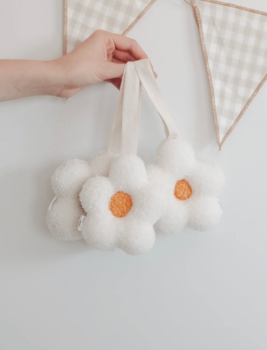 Shushing daisy | Coconut & Mango