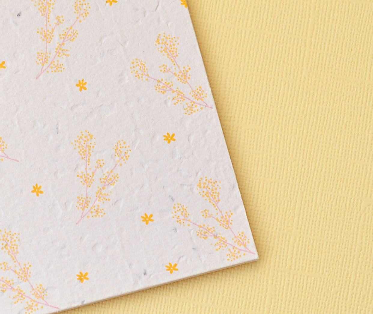 Daisee Plantable Greeting Card