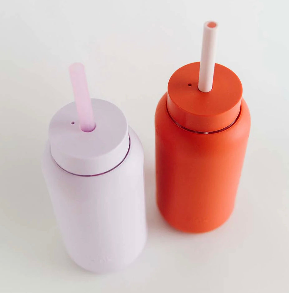 COLOURED STRAWS (4 pack)