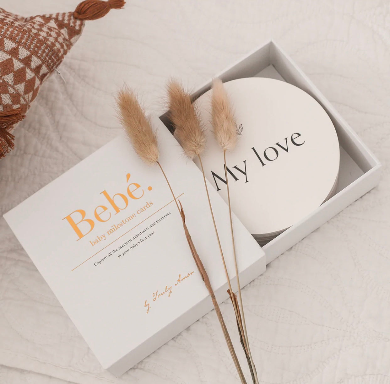 Baby Milestone Cards