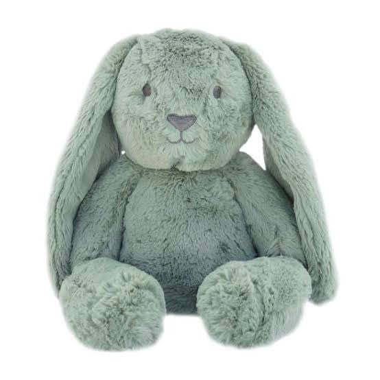 Sage Bunny - Beau