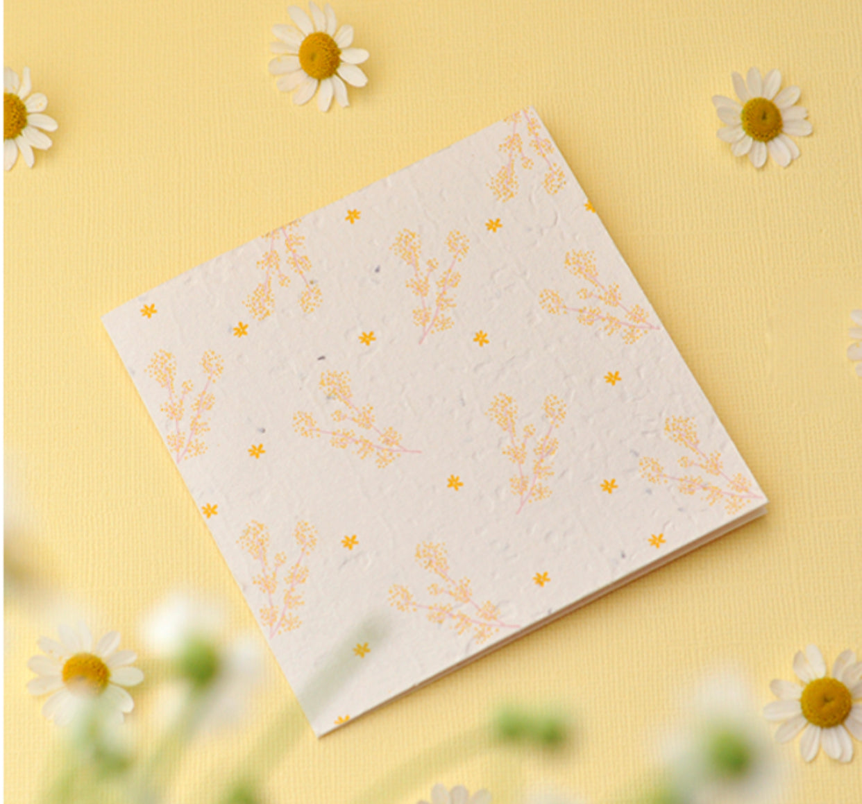 Daisee Plantable Greeting Card