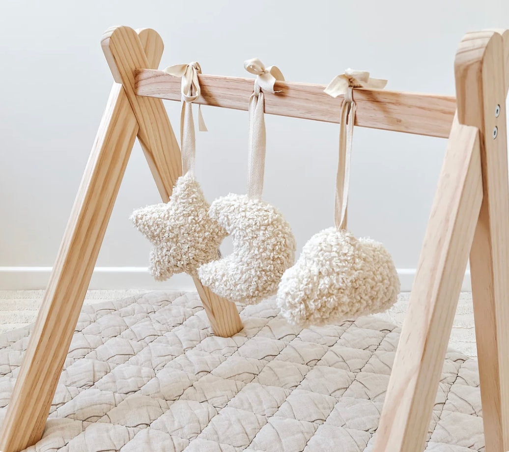 Galaxy Playgym Toys | Sherpa