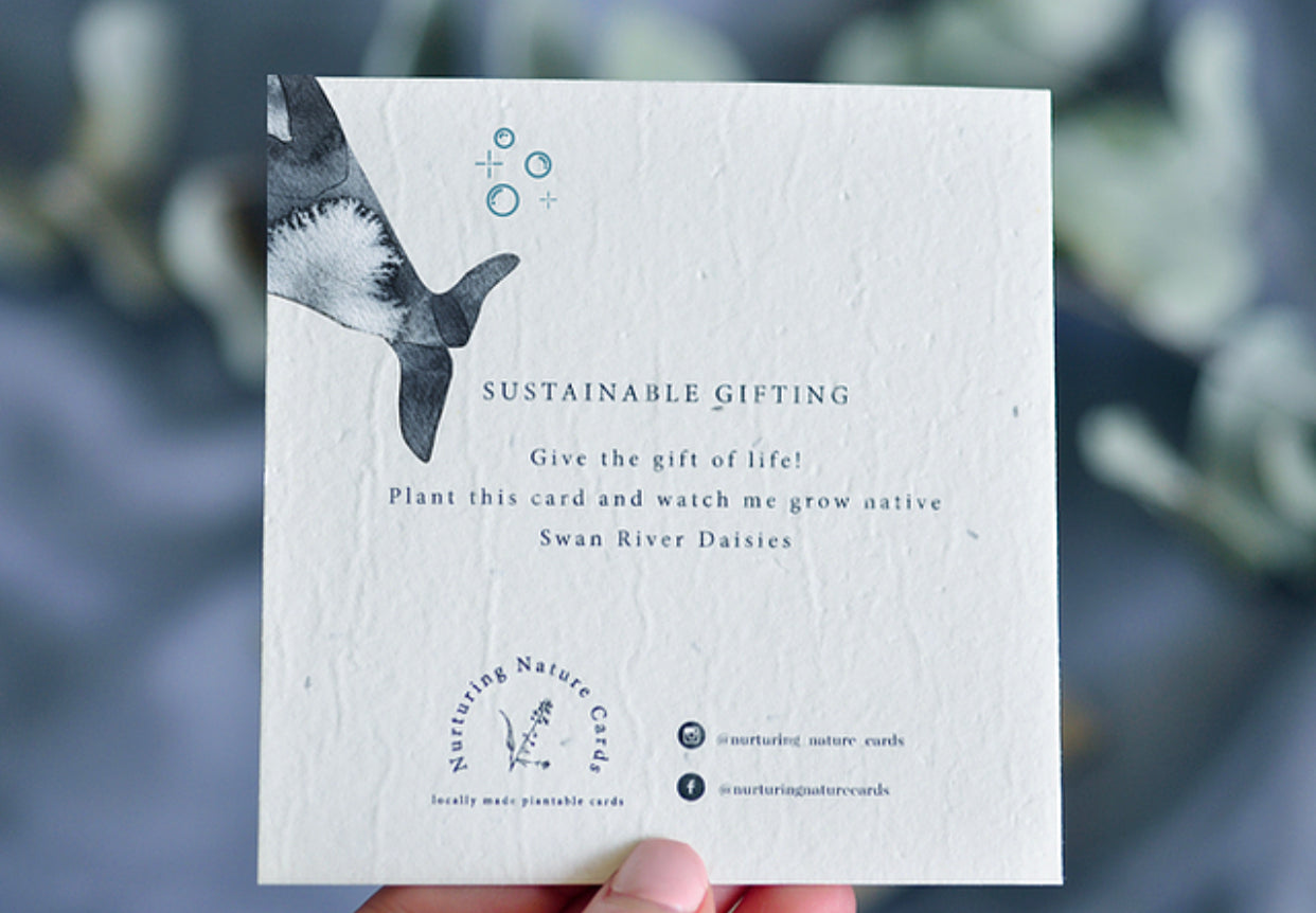 JONAH Plantable Greeting Card